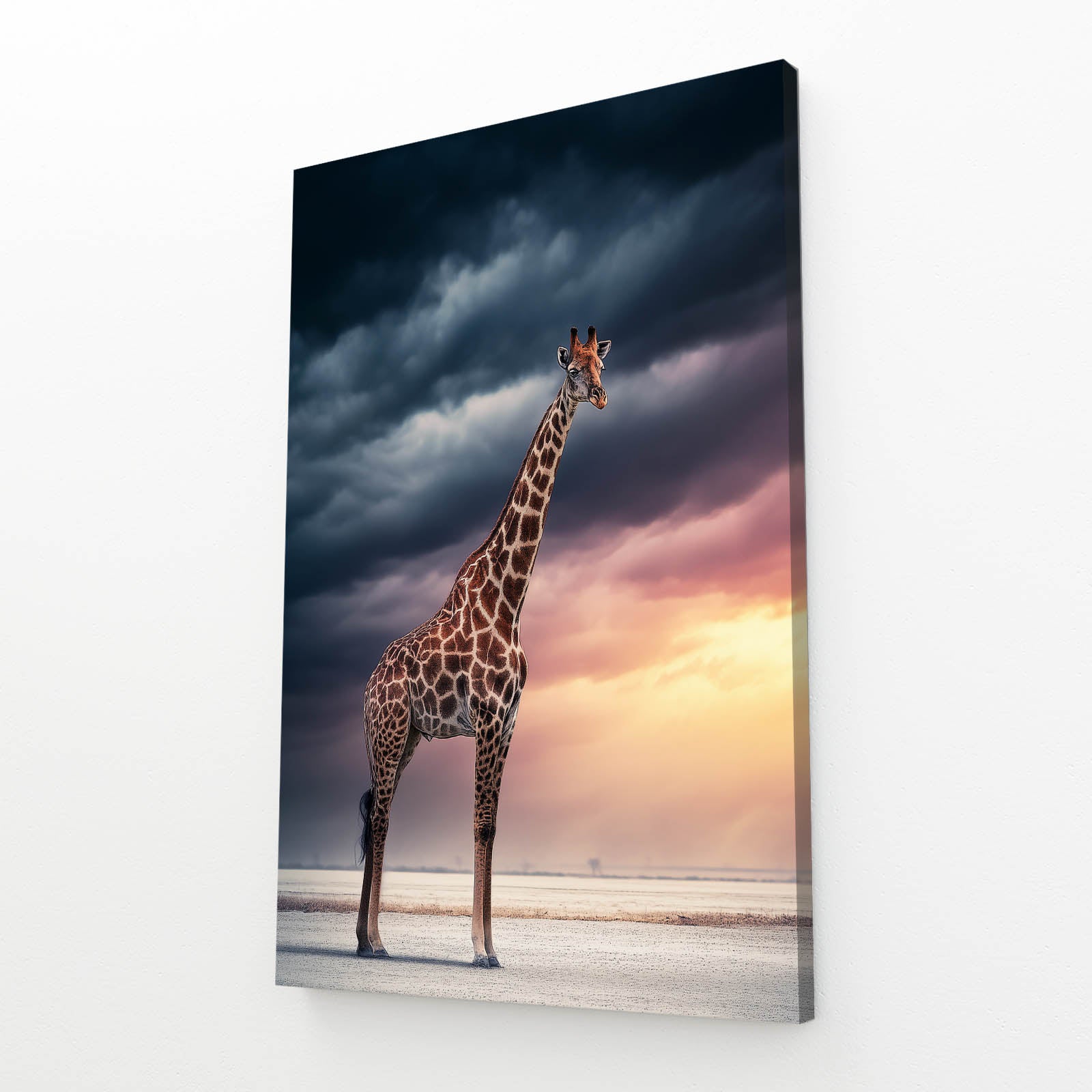 Giraffe standing on a savanna with a dramatic sky