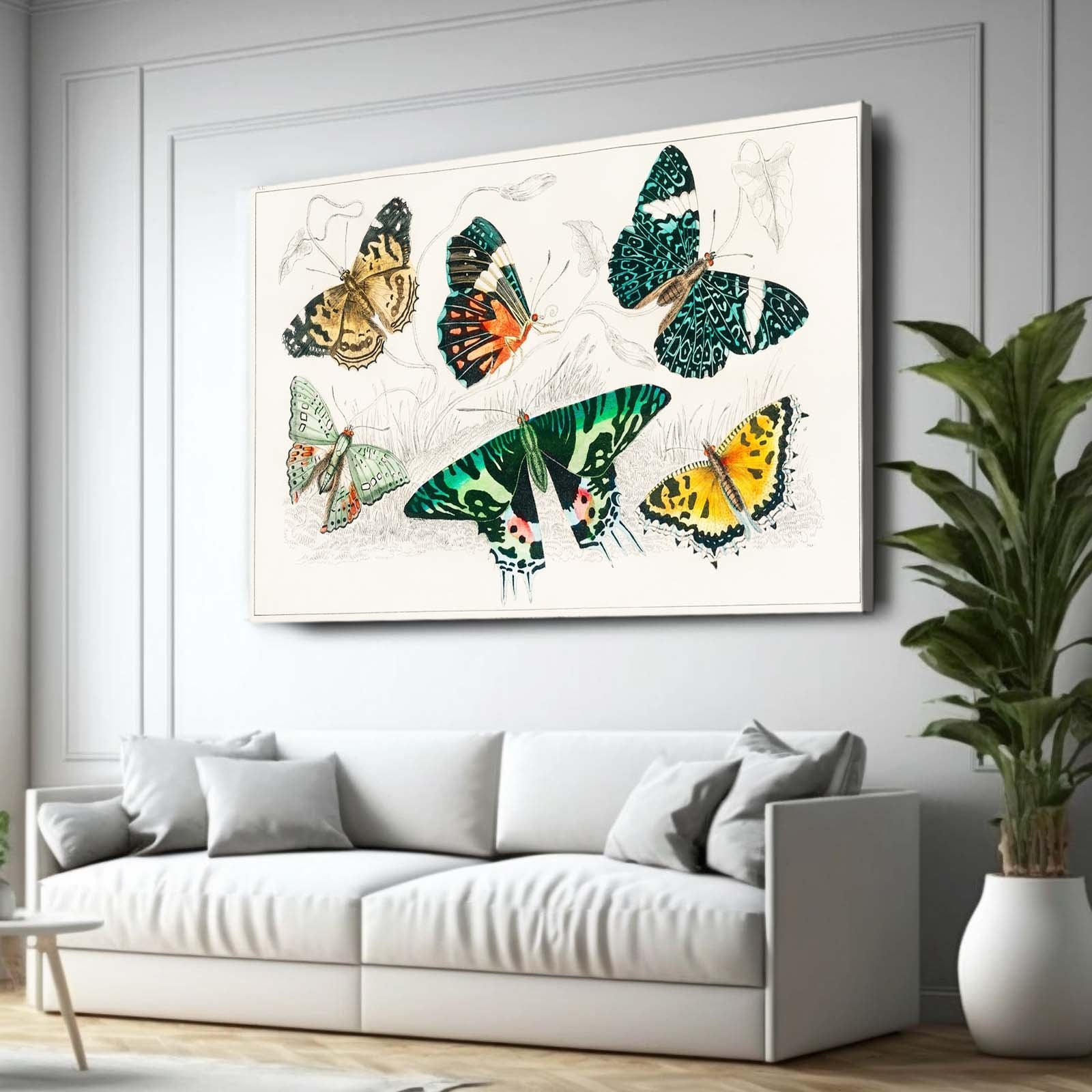 Vintage Butterfly Wall Art