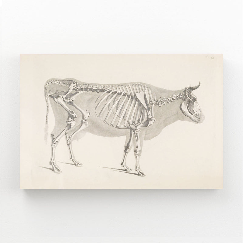 Vintage Cow Art – angled canvas view on white background