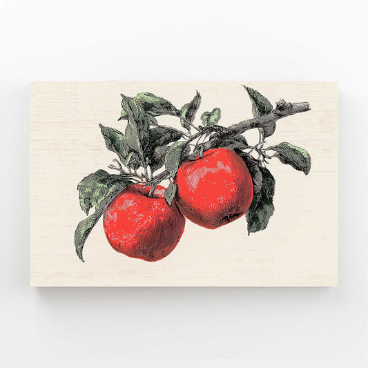 Vintage Engraved Branch Apple Wall Decor – vintage engraved branch apple canvas print