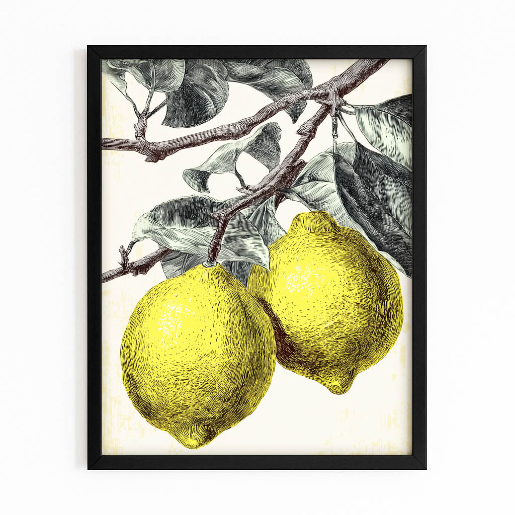 Vintage Engraved Lemons Fruit Wall Art – with Premium Black frame on white background