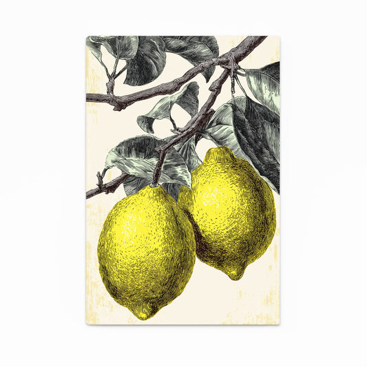 Vintage Engraved Lemons Fruit Wall Art – vintage engraved lemons fruit canvas print