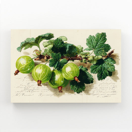 Vintage Gooseberry Print Fruit Wall Decor – vintage gooseberry print fruit canvas print