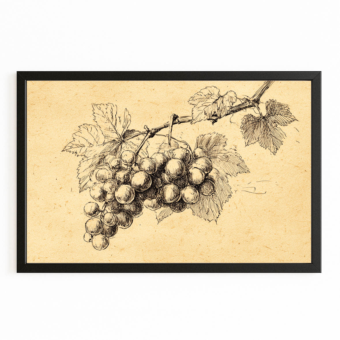 Vintage Grape Sketch Fruit Prints – with Premium Black frame on white background