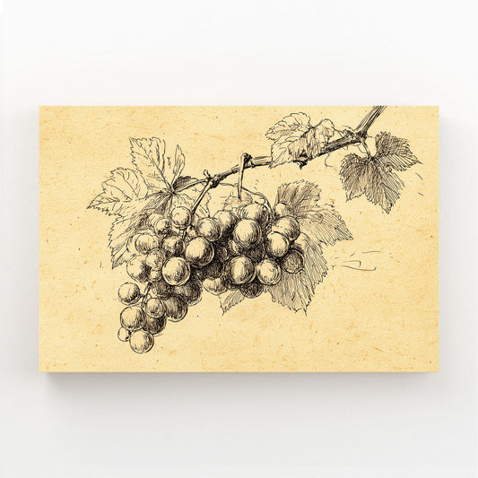 Vintage Grape Sketch Fruit Prints – vintage grape sketch fruit canvas print