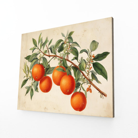 Vintage Orange Branch Fruit Wall Decor – angled canvas view on white background