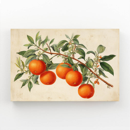 Vintage Orange Branch Fruit Wall Decor – vintage orange branch fruit canvas print