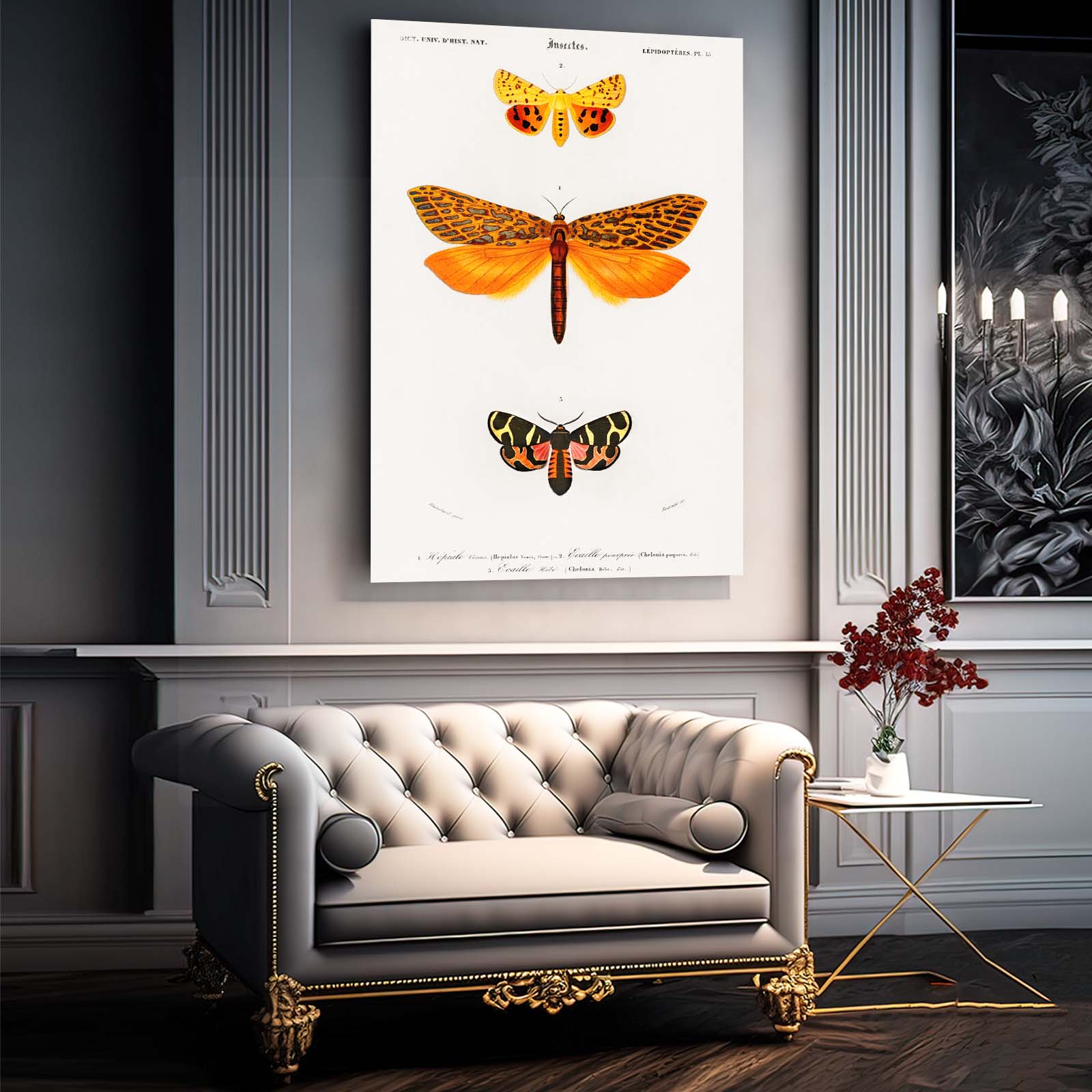 Vintage Scientific Butterfly Wall Art