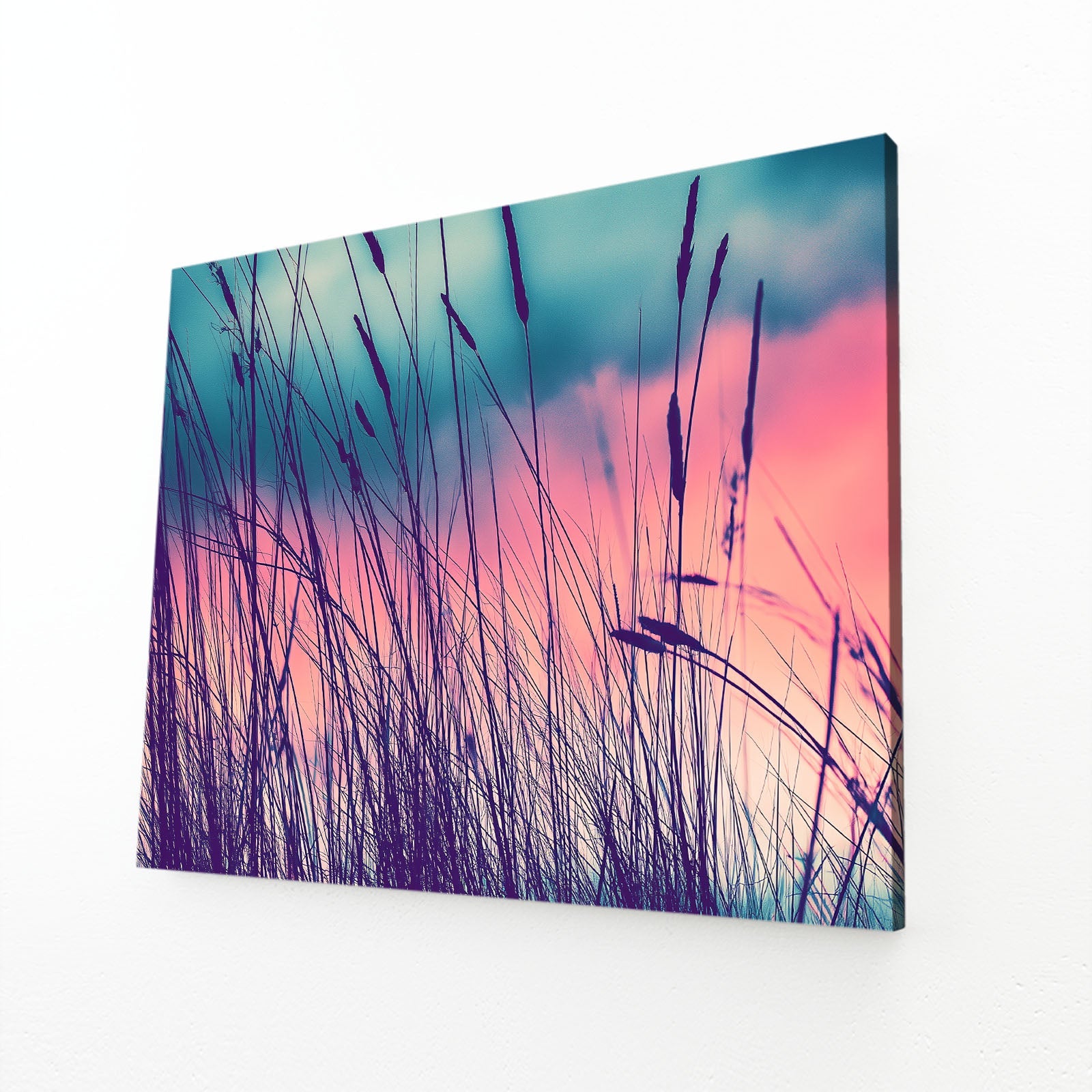 Violet Grass Photography Art Prints – angled canvas view on white background