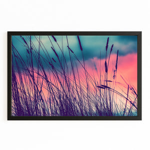 Violet Grass Photography Art Prints