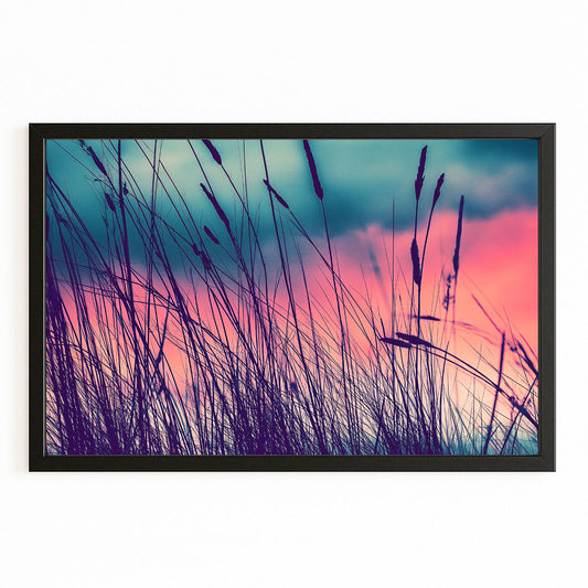 Violet Grass Photography Art Prints – canvas print on white background
