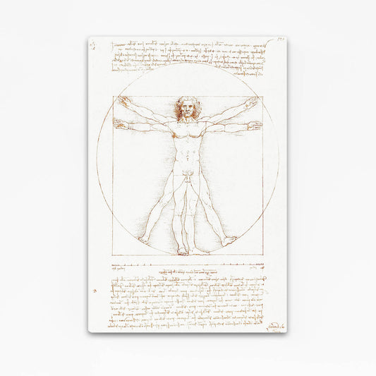 Vitruvian Man Da Vinci Art — line canvas print, angled canvas view on white background