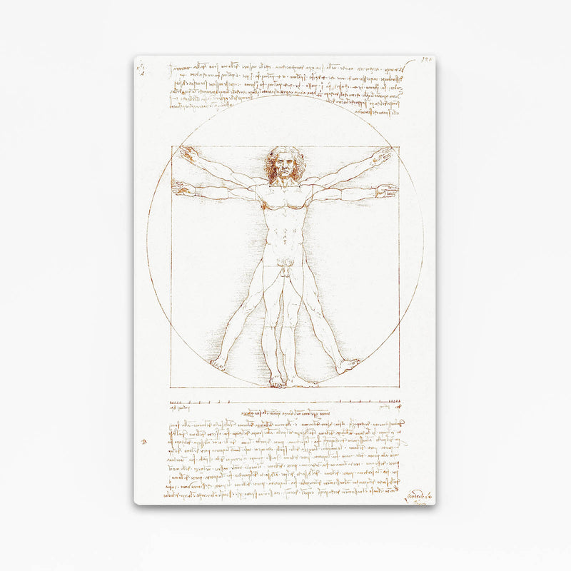 Vitruvian Man Da Vinci Art – vitruvian man da vinci canvas print