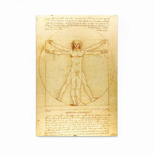 Vitruvian Man Manuscript Da Vinci Wall Decor — line canvas print, canvas print on white background