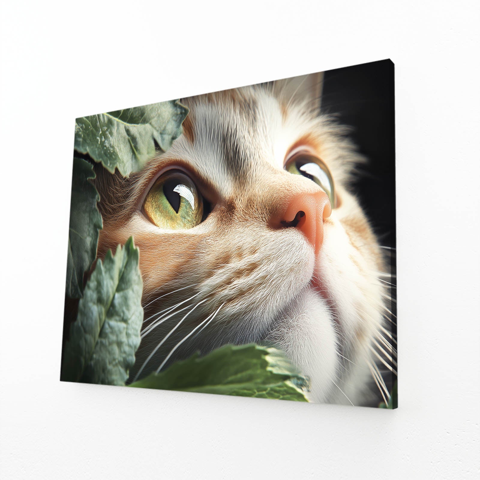 Wall Art Cat Prints