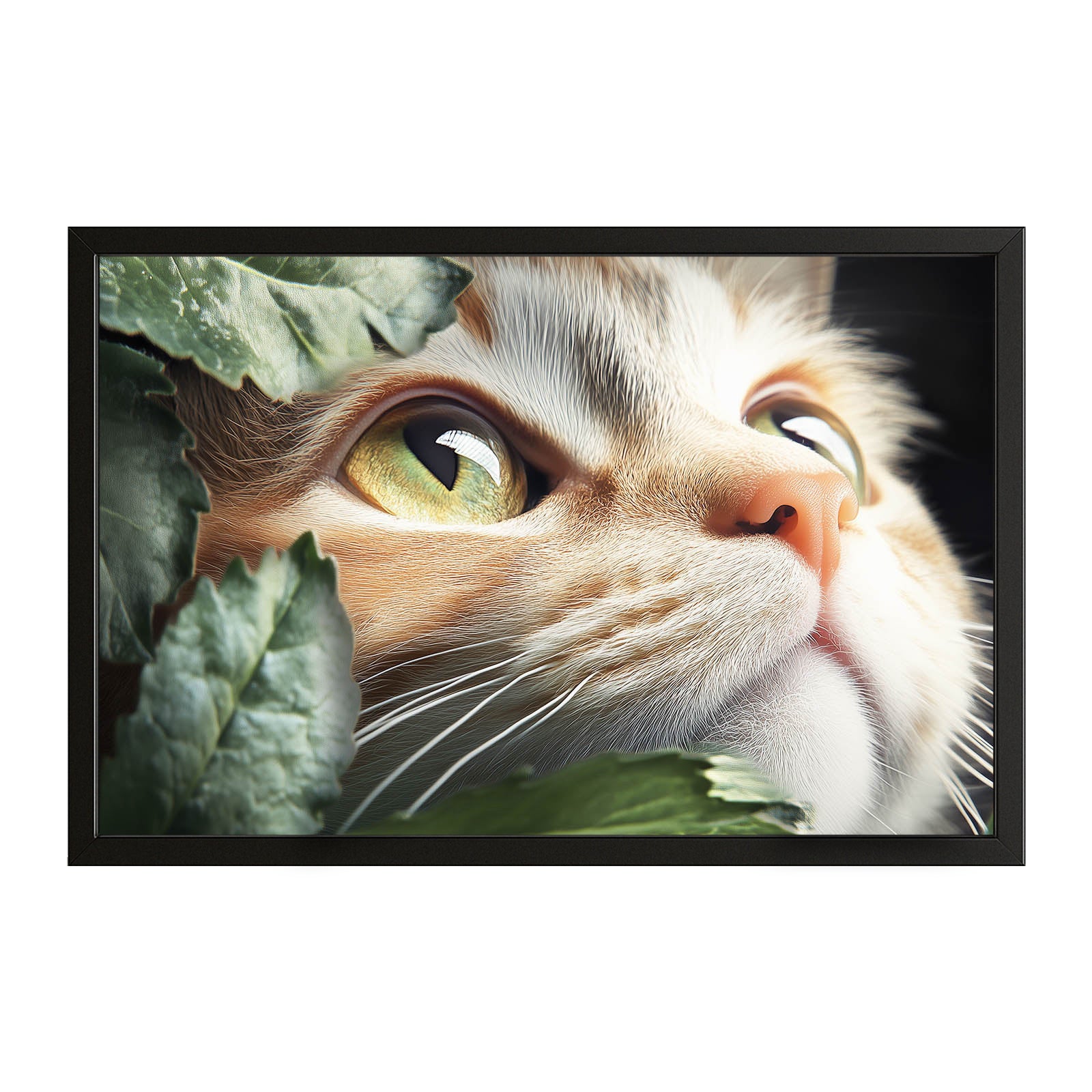 Wall Art Cat Prints – canvas print on white background