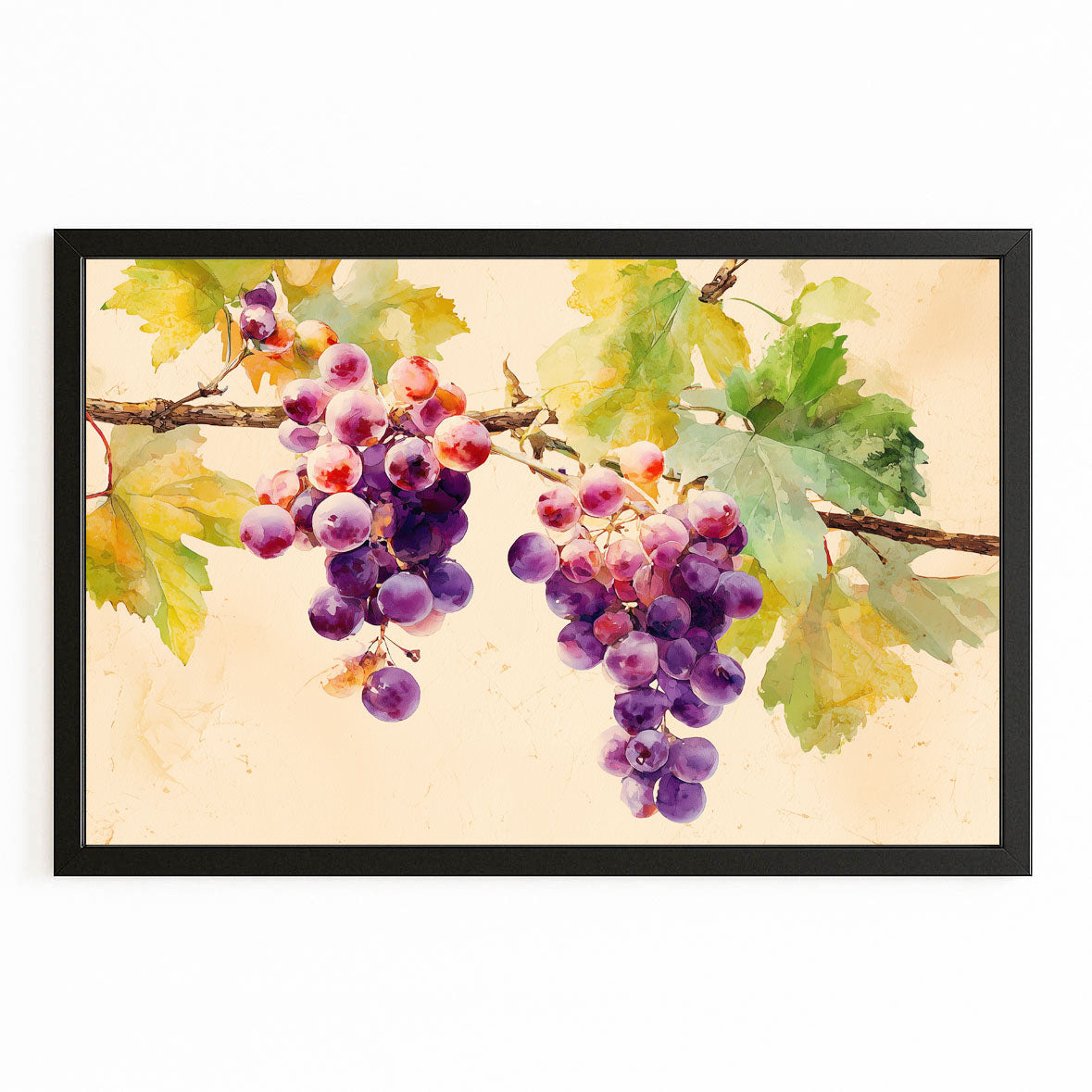 Watercolor Grape Vine Fruit Art – with Premium Black frame on white background