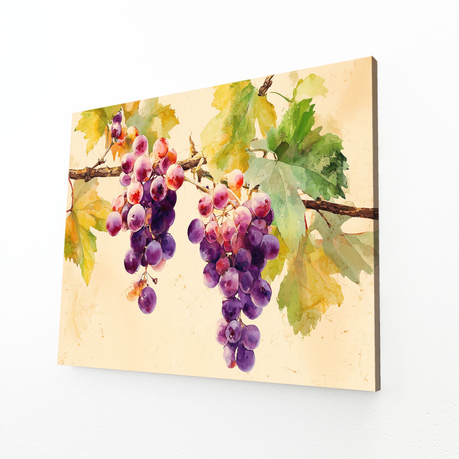 Watercolor Grape Vine Fruit Art – angled canvas view on white background