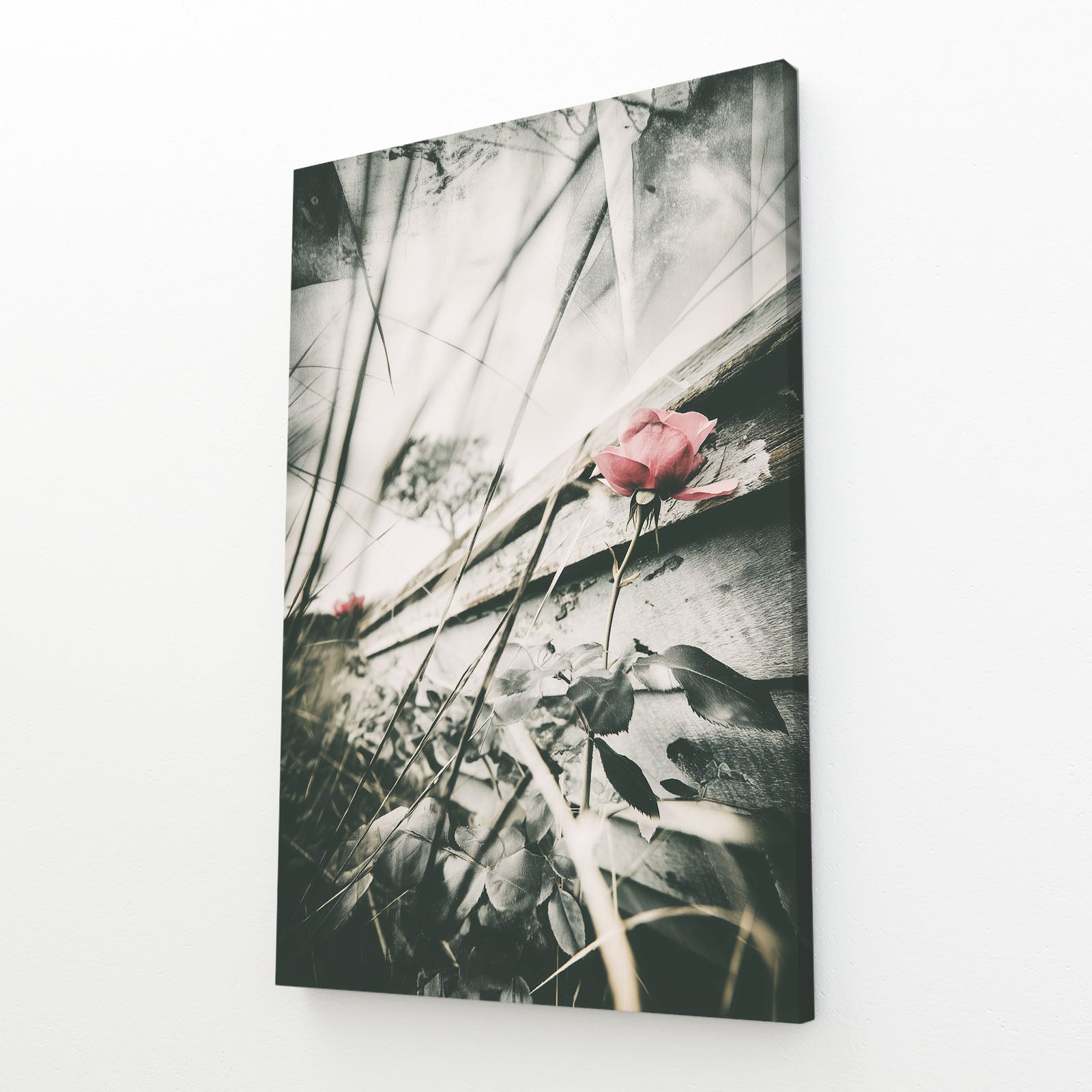 Weathered Rose Photography Print – canvas print, view 2