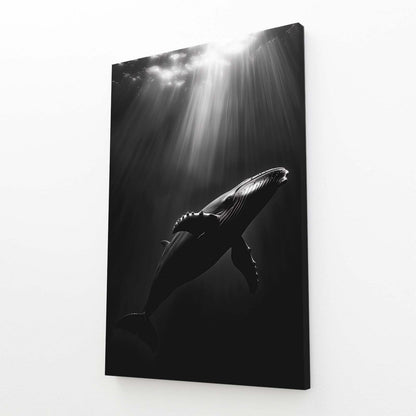 Whale Art Black And White