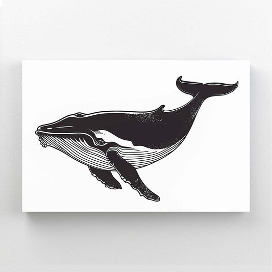 Whale Black And White Art