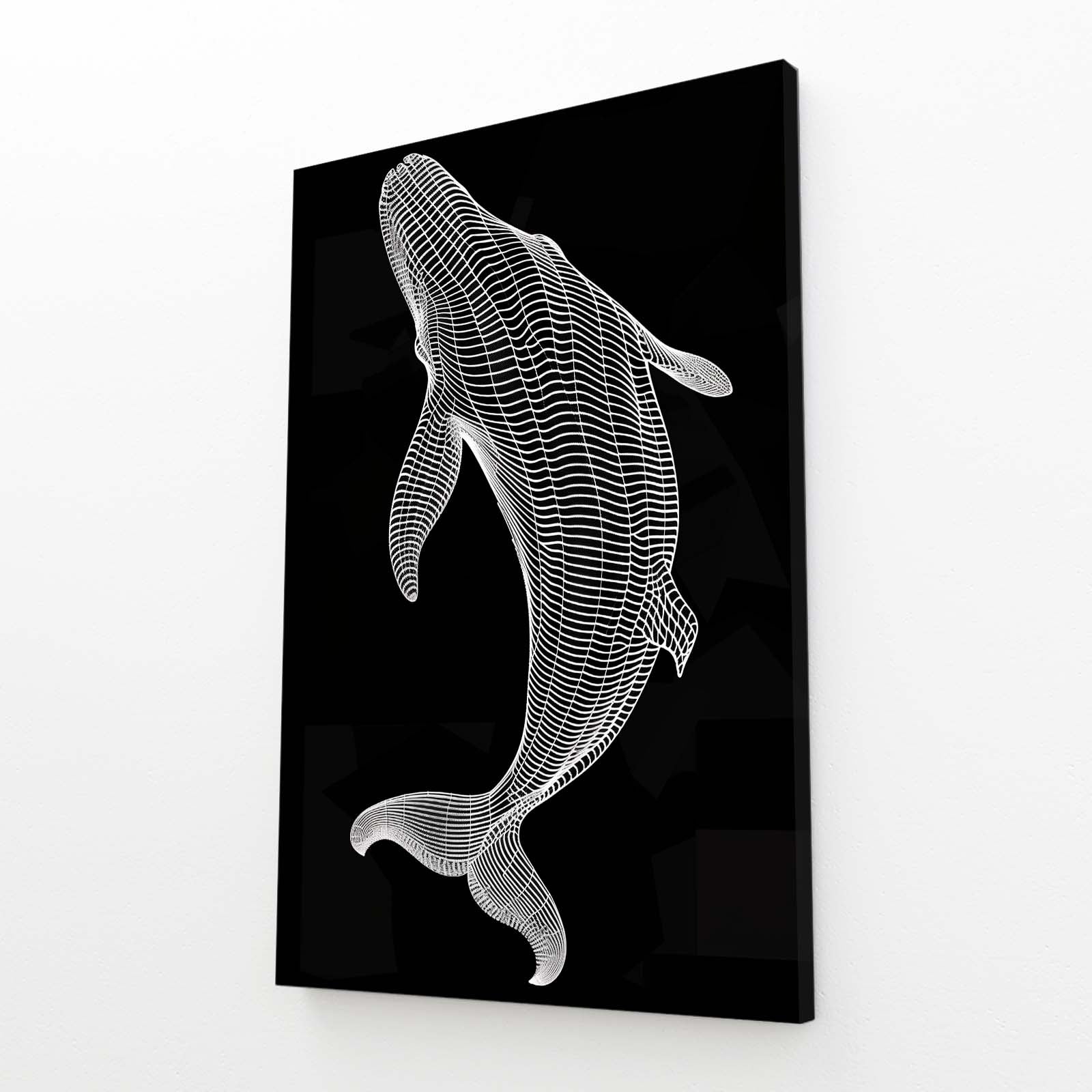 Whale Line Art