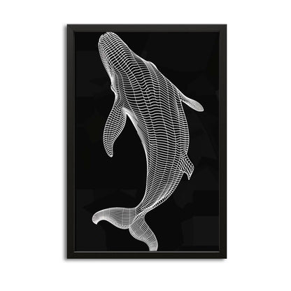 Whale Line Art