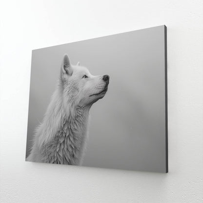 White And Black Wolf Wall Art