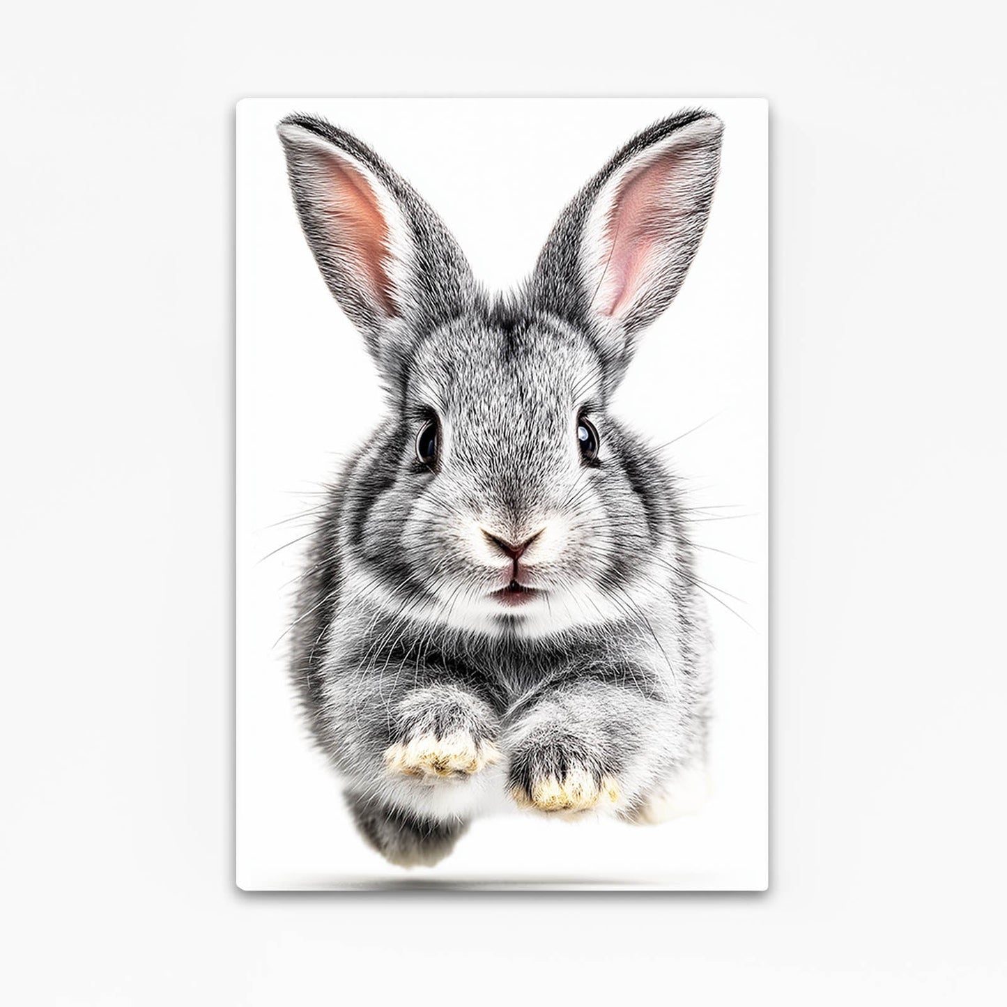 White Bunny Wall Art – angled canvas view on white background