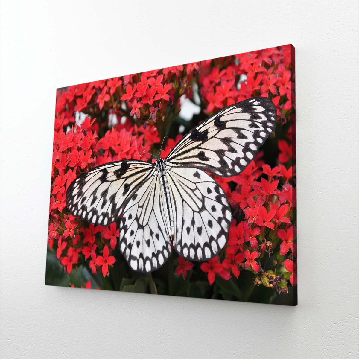 White Butterfly On Red Flowers Wall Art — psychedelic canvas print in red tones, angled canvas view on white background