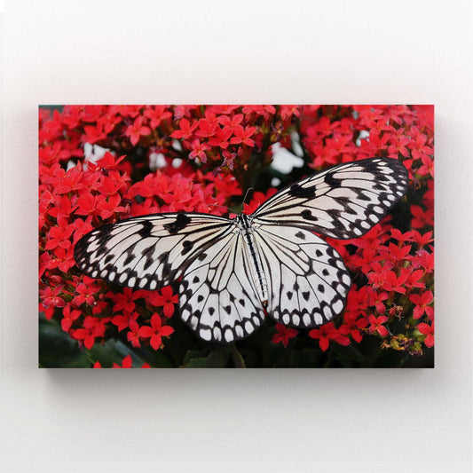 White Butterfly On Red Flowers Wall Art