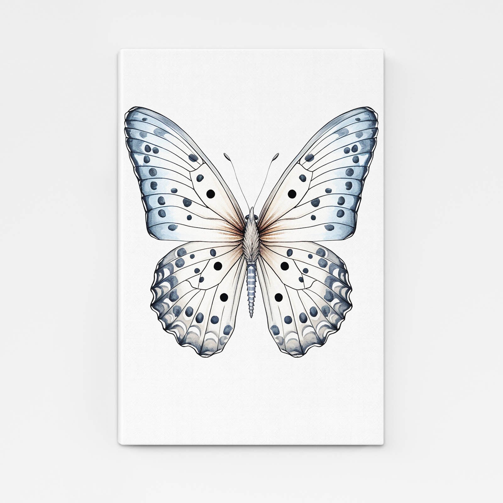 White Butterfly Wall Art