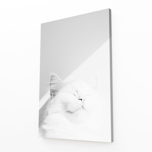 White Cat Sleeping in Light Art