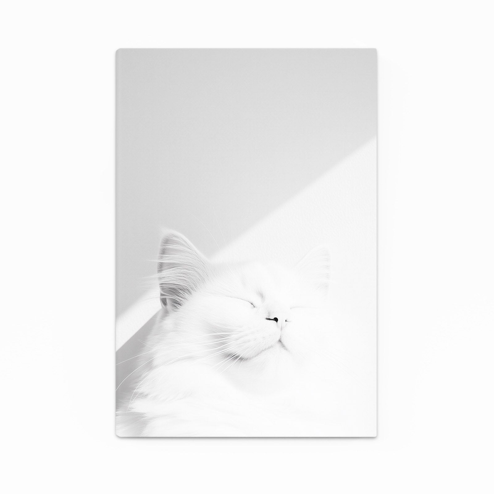 White Cat Sleeping in Light Art