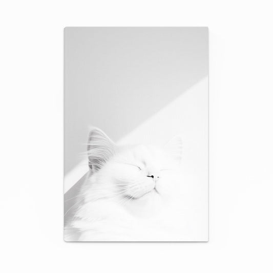 White Cat Sleeping in Light Art