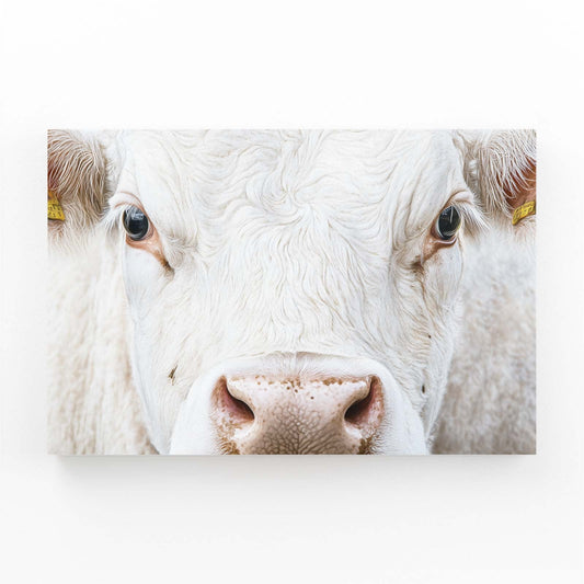 White Cow Wall Art – angled canvas view on white background