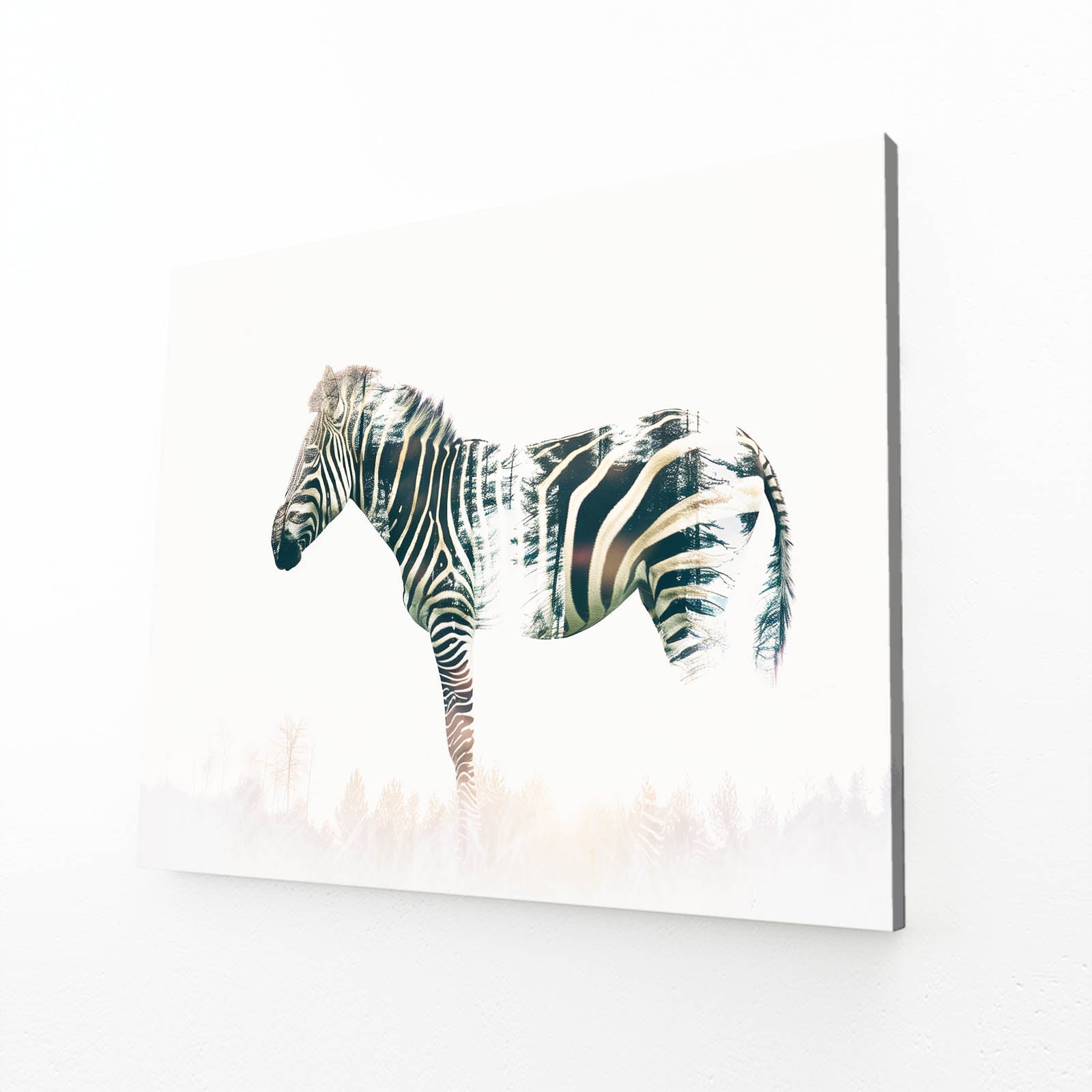 White Zebra Canvas – angled canvas view on white background