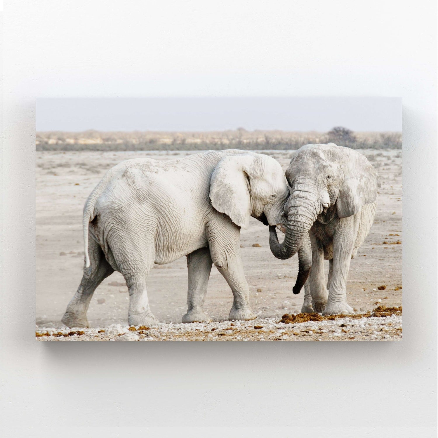 Wild African Wall Art