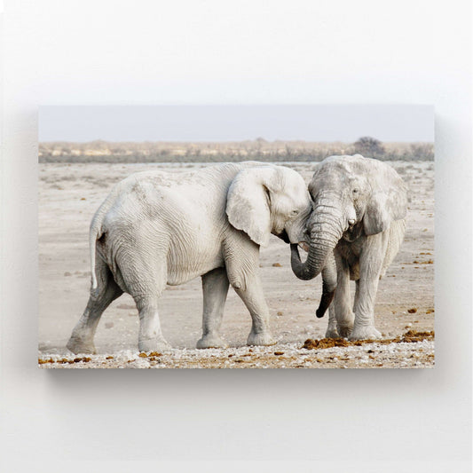 Wild African Wall Art