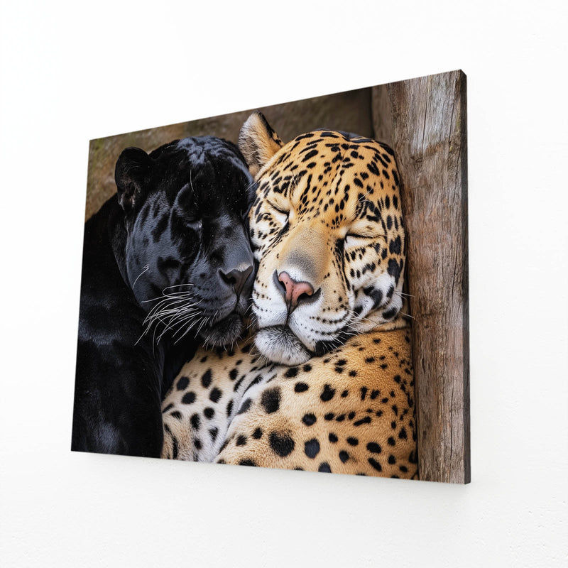 Wild Cat Duo Canvas — realism canvas print, angled canvas view on white background