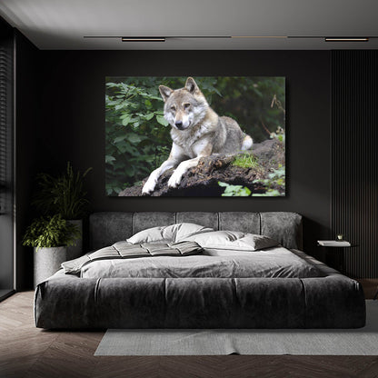 Wolf And Nature Wall Art