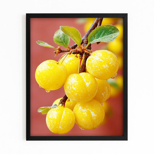 Yellow Plum Branch Fruit Canvas – with Premium Black frame on white background